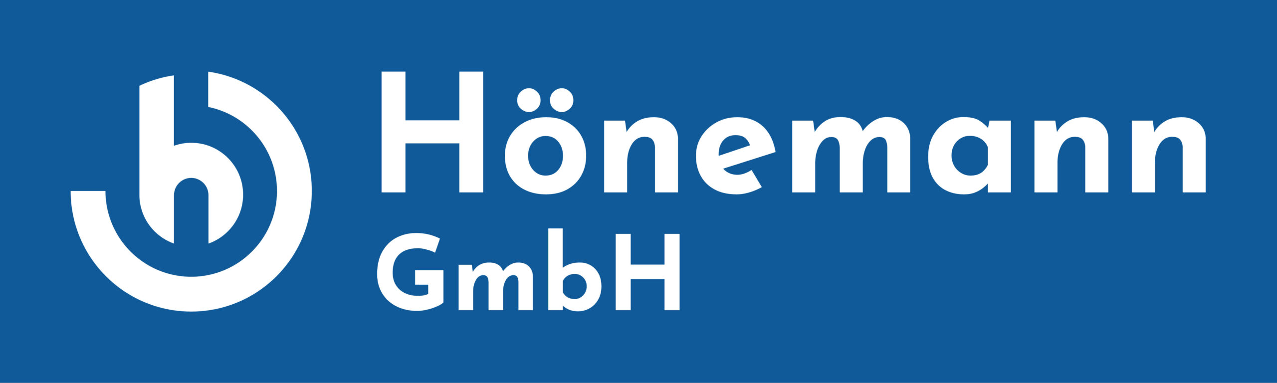 Logo Hoenemann Gmbh